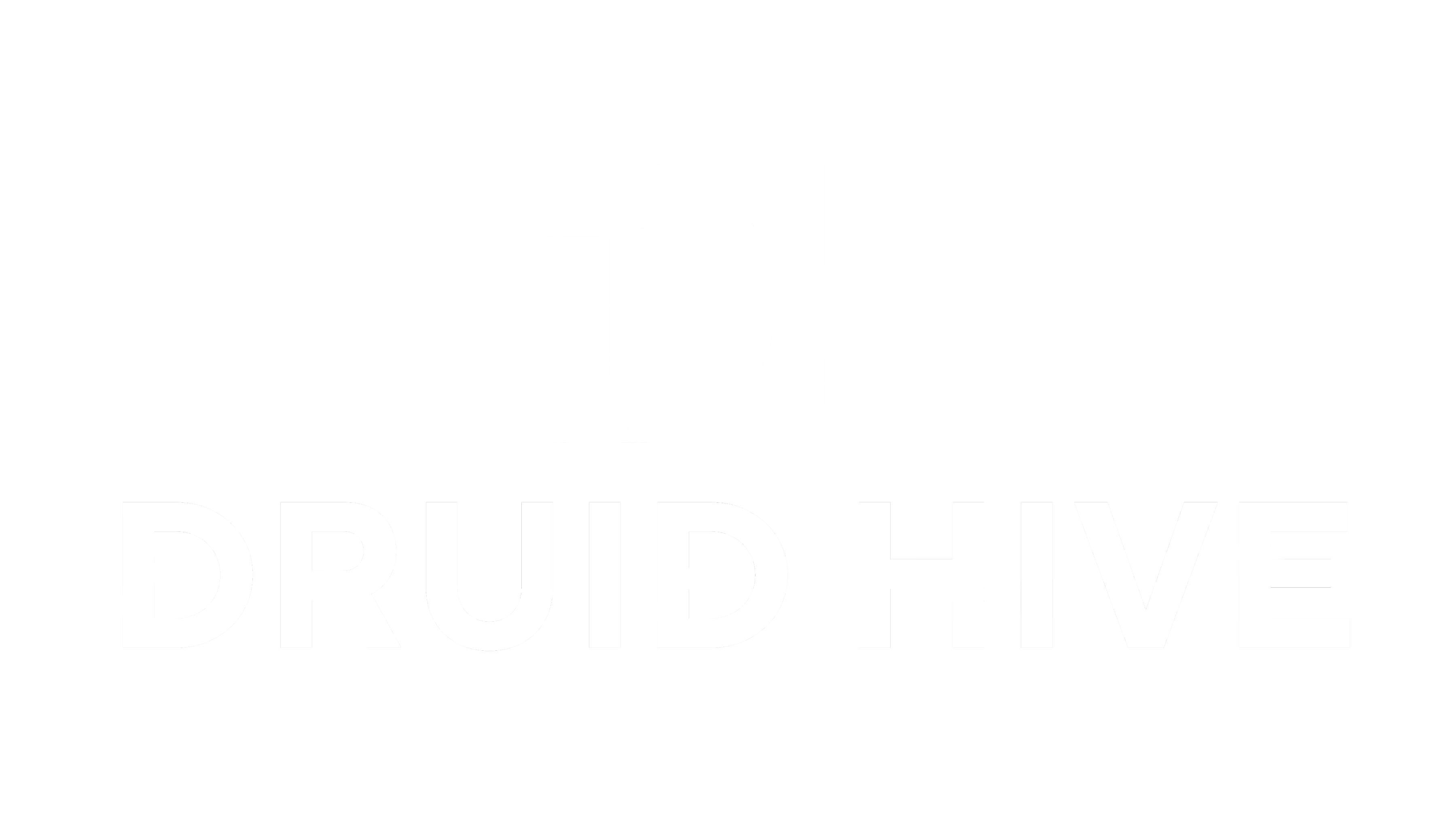 Druid Hive footer logo